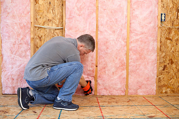 Best Wall Insulation Installation  in Holt, MI